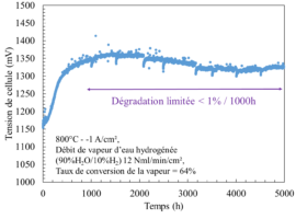 dégradation d'une cellule céramique anionique d'électrolyseur