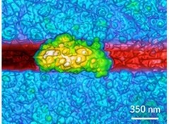 vue AFM d'une nanoparticule de TiO2 sur substrat or